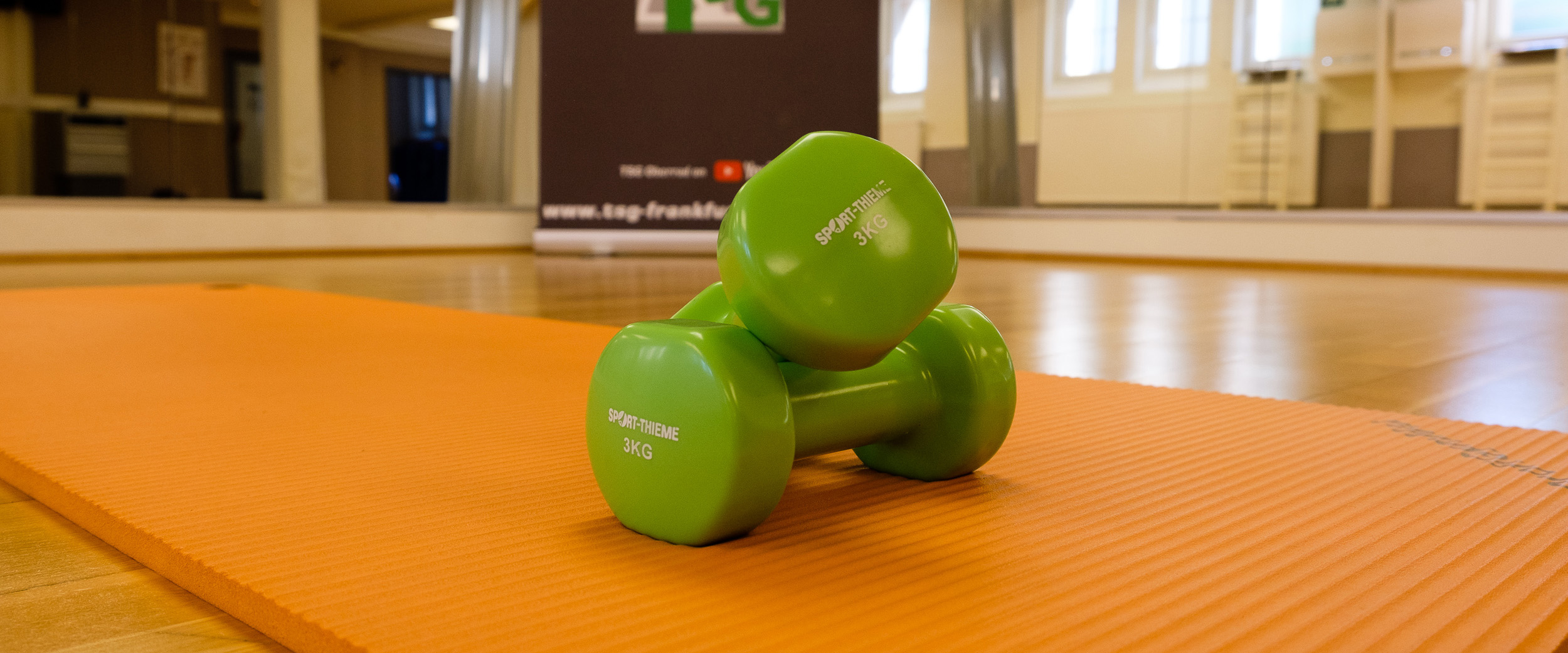 gymwelt_functionalfit_header